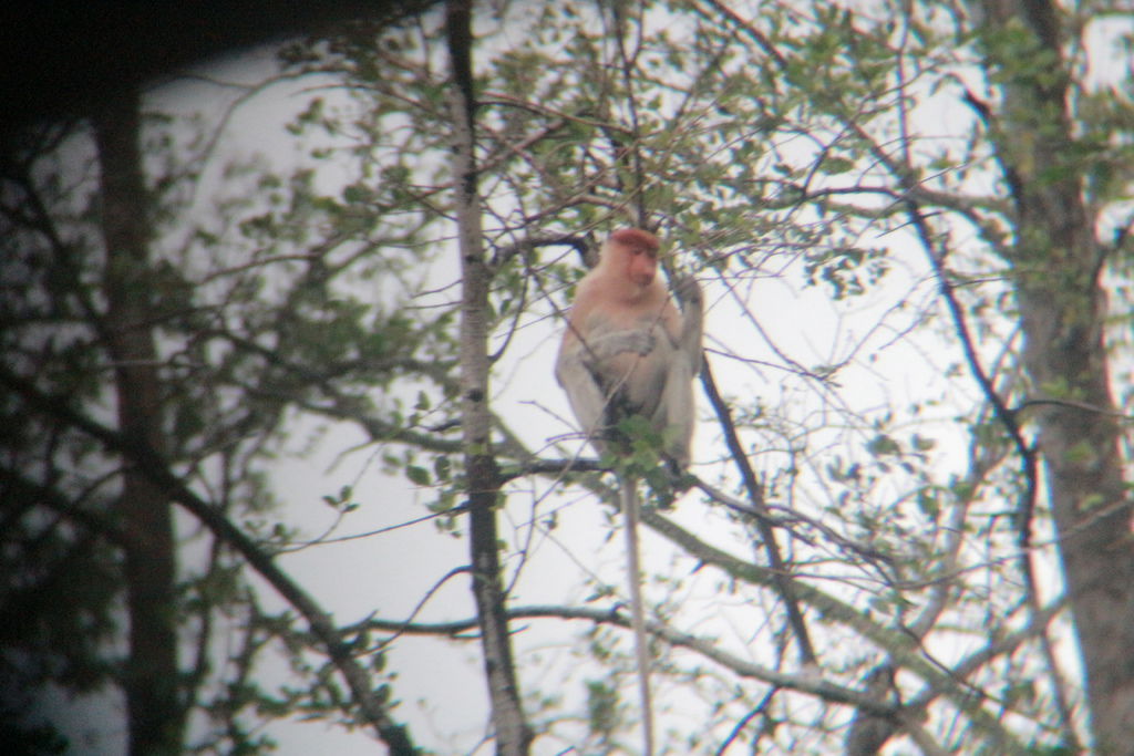 IMG_7031.JPG IMG_7031.JPG