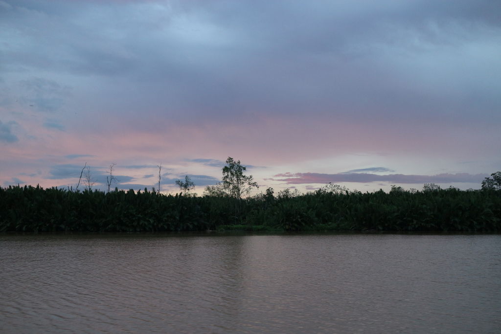 IMG_7194.JPG IMG_7194.JPG