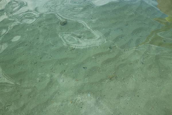 IMG_7419.JPG IMG_7419.JPG