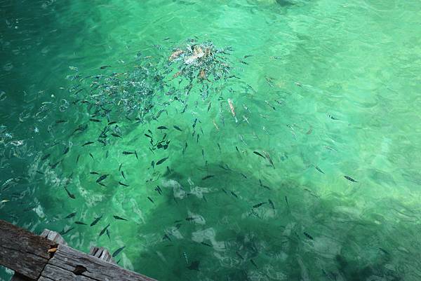 IMG_7551.JPG IMG_7551.JPG