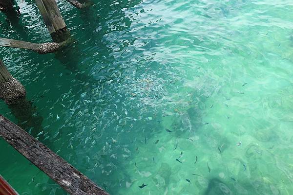 IMG_7573.JPG IMG_7573.JPG