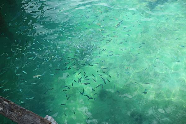 IMG_7580.JPG IMG_7580.JPG