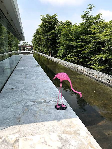 IMG_2871.jpg IMG_2871.jpg