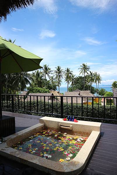 IMG_1734.JPG IMG_1734.JPG