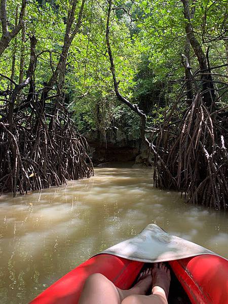 IMG_8451.JPG IMG_8451.JPG