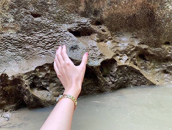 IMG_8452.JPG IMG_8452.JPG