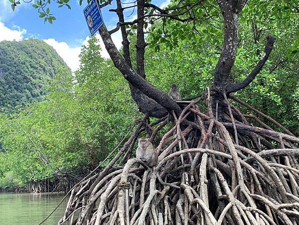 IMG_8464.JPG IMG_8464.JPG