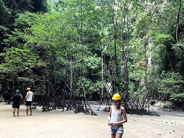 IMG_5841.jpg IMG_5841.jpg