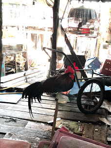 IMG_5868.jpg IMG_5868.jpg