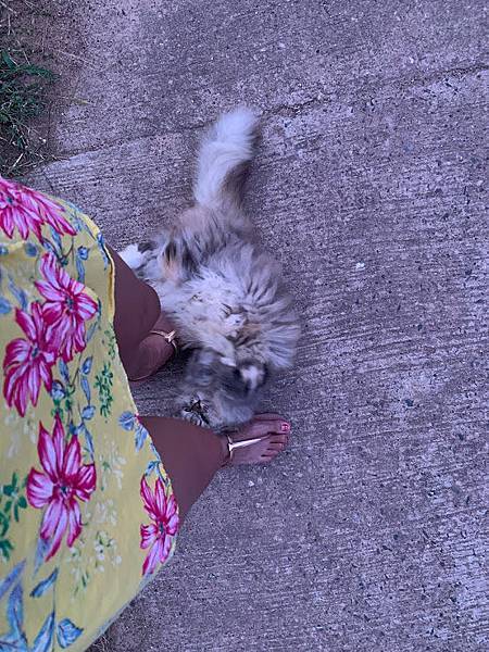 IMG_8907.JPG IMG_8907.JPG