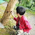 20130622_067s.jpg