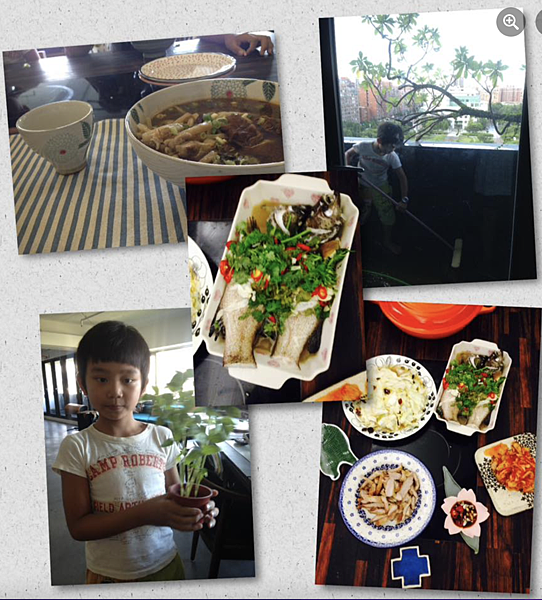 20160807木瓜仔之夢（二寶記事）