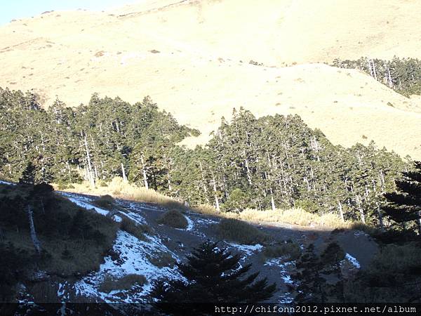 98.1.29 中橫(合歡山路段 上午8點20分)1