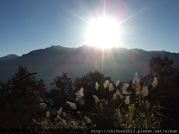 98.1.31 阿里山(日出 上午7點15分)