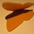 IMG_1251.JPG