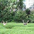 IMG_1289.JPG