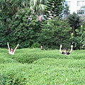 IMG_1291.JPG