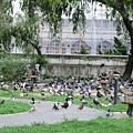 IMG_1299.JPG