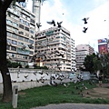 IMG_1302.JPG