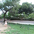 IMG_1303.JPG