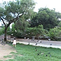 IMG_1304.JPG
