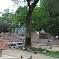 IMG_1306.JPG