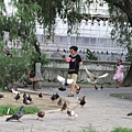 IMG_1307.JPG