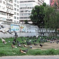 IMG_1310.JPG