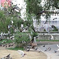 IMG_1311.JPG