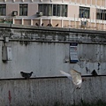 IMG_1317.JPG