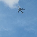 IMG_1410.JPG