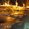 IMG_1602.JPG