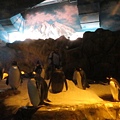 IMG_1603.JPG