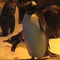 IMG_1607.JPG