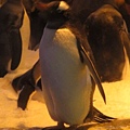 IMG_1606.JPG