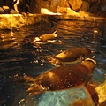 IMG_1612.JPG