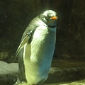 IMG_1617.JPG