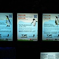 IMG_1620.JPG