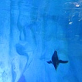 IMG_1621.JPG
