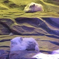 IMG_1622.JPG
