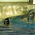 IMG_1632.JPG