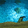 IMG_1634.JPG