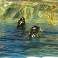 IMG_1635.JPG