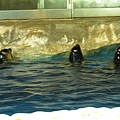 IMG_1639.JPG
