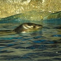 IMG_1641.JPG