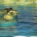 IMG_1642.JPG