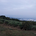 20130501_160832.jpg