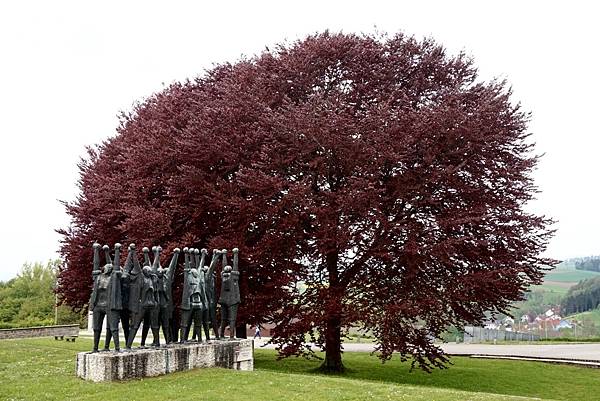 image.jpeg image.jpeg