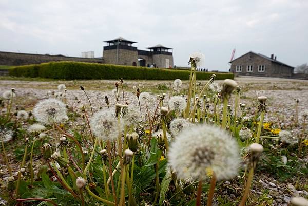 image.jpeg image.jpeg