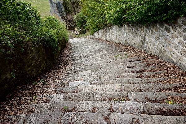 image.jpeg image.jpeg